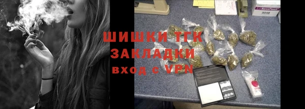шишки Алексеевка