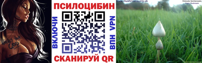 Псилоцибиновые грибы MAGIC MUSHROOMS  Щучье 